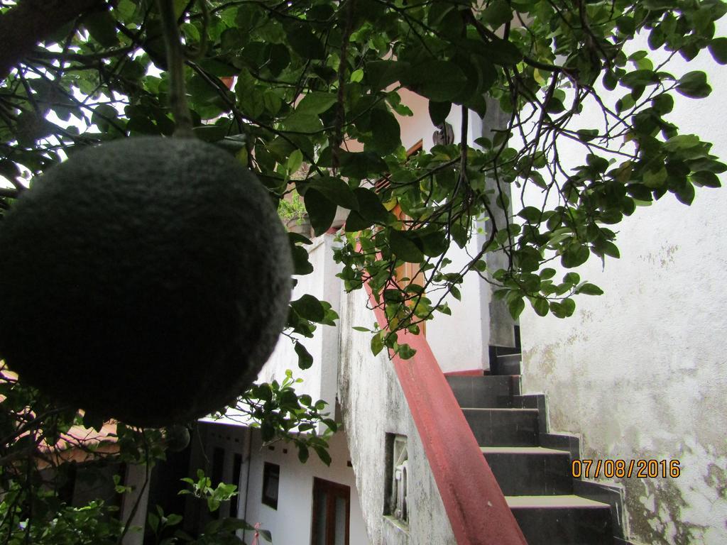 New Sea Lion Guest House Hikkaduwa Bagian luar foto