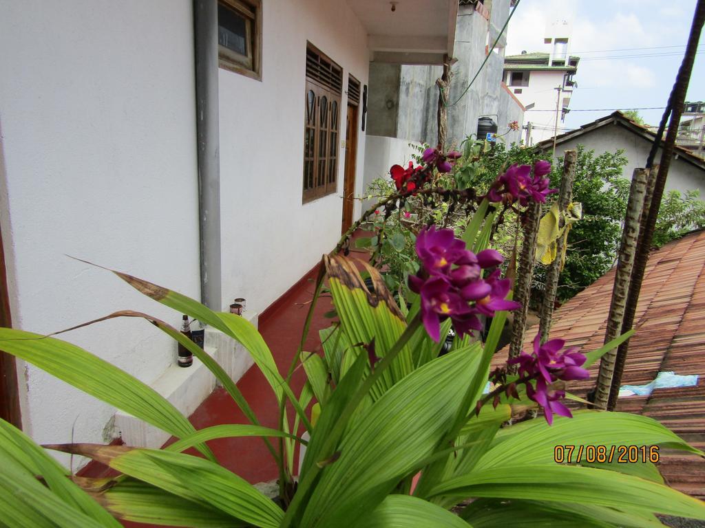 New Sea Lion Guest House Hikkaduwa Bagian luar foto